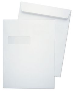 9 x 12 Catalog 28lb White Wove Horizontal Window 1