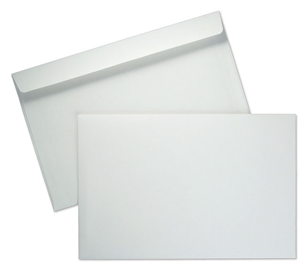 Envelope 6x9/500Bx Wht (36-03662)